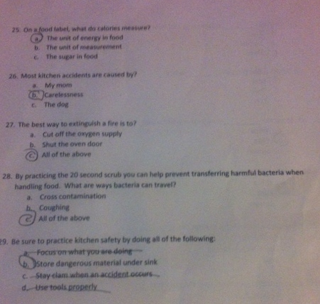 College Confidential 12 Essay Score