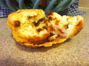 cin chip muffin
